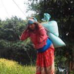 Lady in red. | Photo taken by Susan H