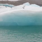 Photo taken by Amy C