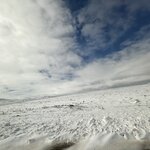 Photo taken by Logan J