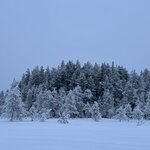 Photo taken by Ellyn V