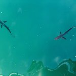 Photo taken by Katarzyna W