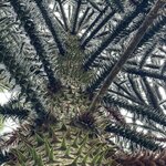 Photo taken by Owen B