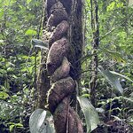 Photo taken by Sheila G