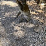 Photo taken by Marcia B