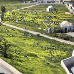 Photo taken by Hillel S