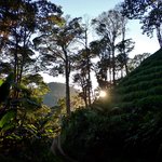 Photo taken by Graeme W