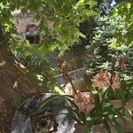 Photo taken by Candi S