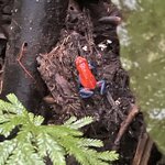 Photo taken by Alexia M