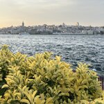 Photo taken by Michael E