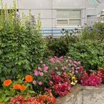 Photo taken by Eliza M