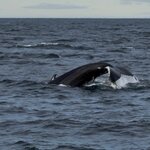 Photo taken by Diane L