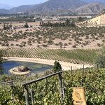 Photo taken by Ellen F