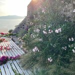 Photo taken by Kathleen L