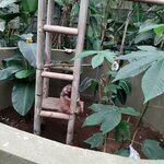 Photo taken by Kathy H