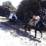 Photo taken by Graham W