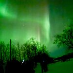 Photo taken by Nikki S