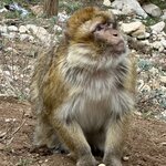 Photo taken by N.J. P