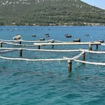 Photo taken by Nancy A