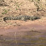 Photo taken by rhonda c