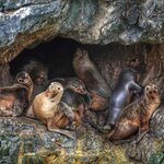 Photo taken by William F