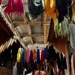 Photo taken by Julie A