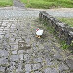 Photo taken by Alyssa L