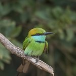 Photo taken by Graham D