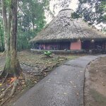 Photo taken by Dawne D