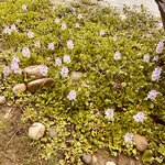 Photo taken by don m