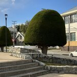 Photo taken by Donna R