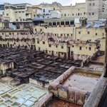 Photo taken by Cynthia D