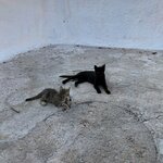 Photo taken by Ellen B