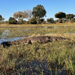 Photo taken by Tom B