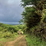 Photo taken by Katarzyna W