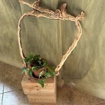 Photo taken by Shannon S