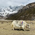 Photo taken by Willow K