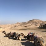 Photo taken by Anda P