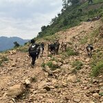 Photo taken by Michael L