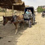 Photo taken by Maryann S