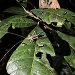 Photo taken by Breann B