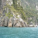 Photo taken by Iris W