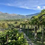 Photo taken by Julie M