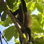 Photo taken by Eric L