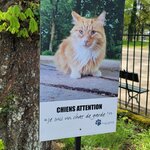 Photo taken by Audrey F