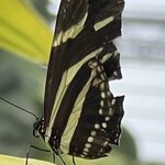 Photo taken by Charles H