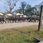 Photo taken by Cayden S