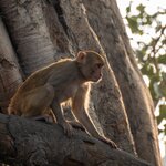 Photo taken by Kristy P