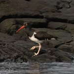 Photo taken by mindy n