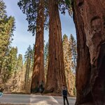 Photo taken by Amy W