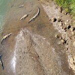 Photo taken by Steven P